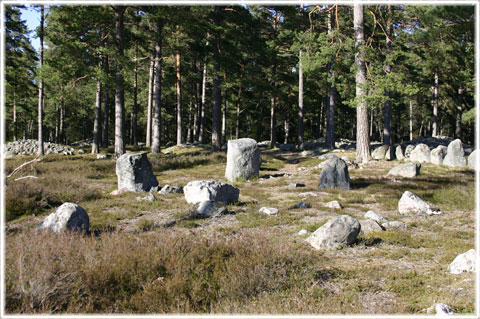 Trullhalsar, gravflt i Anga