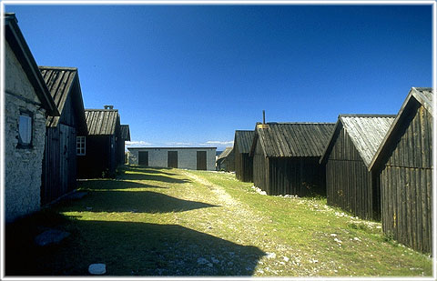 Gotland, Helgumannen fiskeläge - foto: Björn Pettersson