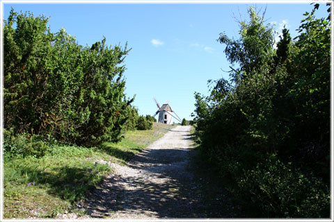 Gotland, S:t Olofsholm - utflyktsmål - foto: Bernt Enderborg