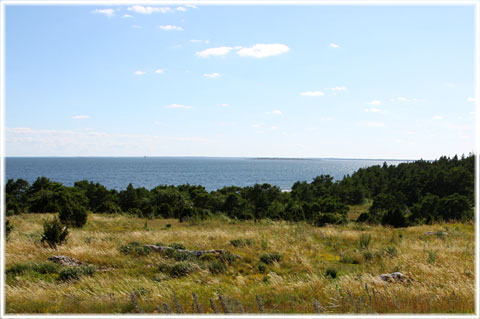 Gotland, S:t Olofsholm - naturreservat - foto: Björn Pettersson