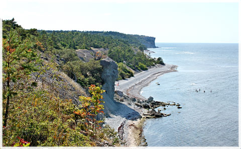 Gotland, Rövar Lilja - foto: Bernt Enderborg