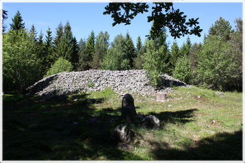 Gotland, Fålltare fylling - foto: Bernt Enderborg