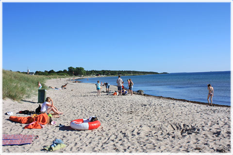 Gotland, Gnisvärd - foto: Bernt Enderborg