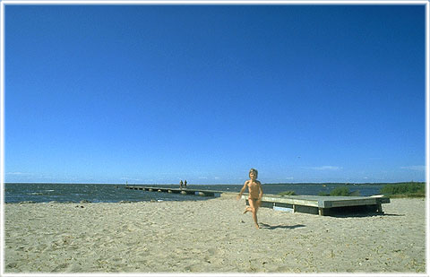 Gotland, Nisseviken - foto: Björn Pettersson