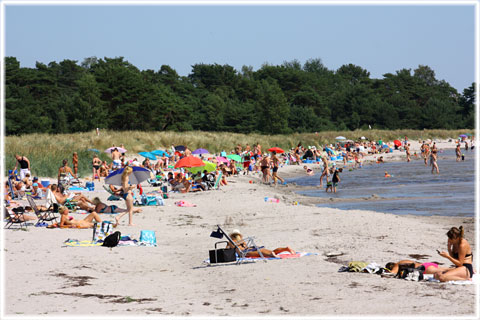 Gotland, Hörte strand - foto: Bernt Enderborg