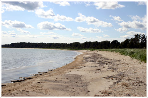 Gotland, Sjauster eller Sjaustru eller Sjöstugorna - foto: Bernt Enderborg