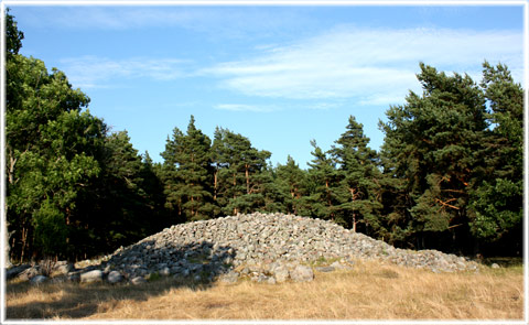 Gotland, Ullviar - foto: Bernt Enderborg