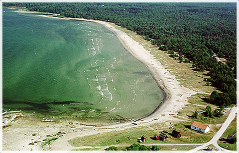 Gotland, Ekeviken på Fårö - foto: Björn Pettersson